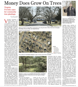 Money Does Grow On Trees